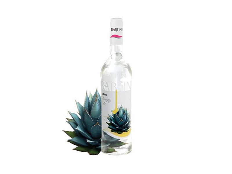 سیروپ اگاوه Agave بارتینی ۹۰۰ گرم